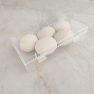 Caja de Almacenamiento de Plástico Transparente para Joyería y Papelería, Portátil, Multiusos, Moderna, Organizador de Escritorio de PP, Venta al Por Mayor - Product Image 6