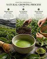 Thé vert Matcha de qualité cérémonielle, poudre de thé en vrac moulue finement, thé santé, nouvelle offre OEM en vrac en bouteille/boîte/sac/sachet