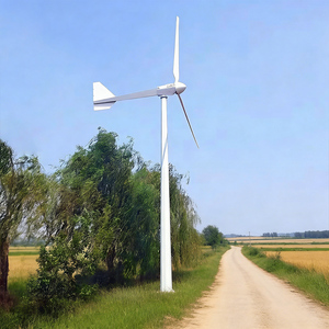 Precio de Fábrica: Nuevo Molino Eólico Doméstico de 1kW para Electricidad ES-L-1KW con Dispositivos de Alineación del Viento que se Ajustan Automáticamente a la Dirección del Viento - Product Image 3
