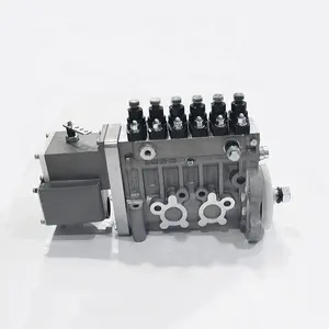 3972878 6CTA8.3 Engine Spare For Cummins Diesel Part Fuel Pump Assembly 3972878