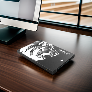 Taifast 1TB 64GB SATA3.0 Laptop için SSD sabit Disk 2.5 inç dahili katı hal sürücü masaüstü bilgisayar OEM - Product Image 2