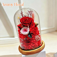 AM-PFA63 Ammy Fleurs Éternelles 3 Roses sous Cloche en Verre avec Coffret Cadeau – Cadeau Saint-Valentin Anniversaire