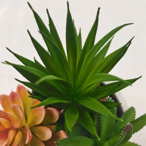 جودة عالية اصطناعية عصارية البلاستيك الاصطناعي تعمل باللمس الحقيقي النباتات قطعة واحدة دائمة الخضرة تصميم لديكور المنزل - Product Image 3