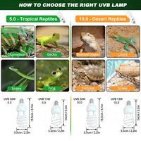Lampe UVB spirale compacte fluorescente pour reptiles 13W 26W 5.0 10.0 UVA UVB, ampoule à spectre complet pour l'apport en calcium des tortues et des lézards