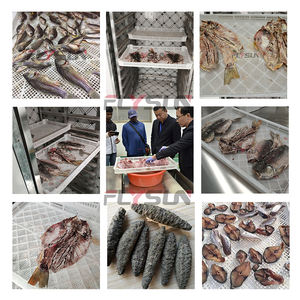 Machine de déshydratation à pompe à chaleur pour coquilles de crevettes et bananes, avec contrôle PLC, moteur et pompe – Offre Spéciale - Product Image 5