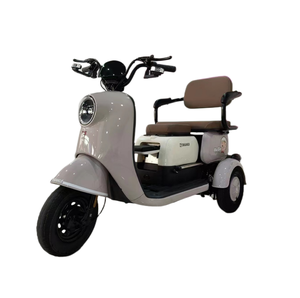 Triciclo eléctrico cerrado de 800/1000W Vehículo de pasajeros cerrado de tres ruedas con kilometraje de conducción de 30km Certificado EEC/DOT/GCC - Product Image 1