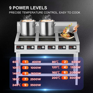 Hausberg-Ertone/Cuisinière à gaz de haute qualité avec brûleur unique - Product Image 5