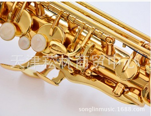 <span class=keywords><strong>Saxophone</strong></span> alto professionnel de haute qualité Surface de laque d'or bon marché avec matériau en laiton EB Tone - Product Image 3