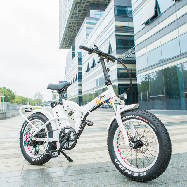 20" 1000W 52V 21AH Dual Suspension 50KM/H Max PAS Speed 80KM Electric Adult Mountain 4.0 Snow Big Fat Tire Folding Bike