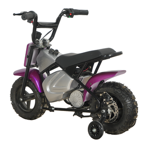 MAXSPEED 250DH Vélo Électrique Mini <span class=keywords><strong>Pocket</strong></span> <span class=keywords><strong>Bike</strong></span> 36V 500W à Moteur à Balais, Vente en Gros, pour Enfants, Entraînement en Extérieur, Roues Optionnelles, Débutant - Product Image 4