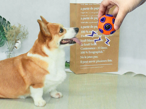 Toptan çevre dostu köpek eğitim oyuncak gıcırtılı kauçuk interaktif Pet oyuncak yıkılmaz ve Bite dayanıklı - Product Image 4