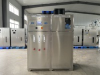 Générateur d'eau alcaline hydrogénée, machine à eau enrichie en hydrogène, contrôlée par PLC, 1000 L/heure, OEM/ODM, garantie 1 an