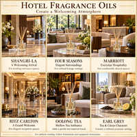 Huile parfumée pour hôtel, faible viscosité, sans colmatage, huile pour diffuseur d'arômes sans eau, sans huile de support, parfumage commercial