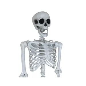 Holiday Giant Halloween Props Decoración al aire libre Tamaño enorme 163cm Esqueleto aterrador realista