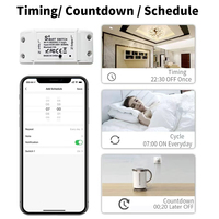 Alexa Google Tuya Wifi Diy Mini Smart Switch Disjoncteur Application Mobile Télécommande Sans Fil Timing Wifi Smart Switch Home IPS Flip