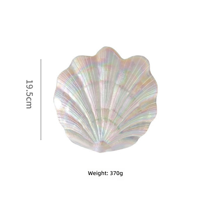 assiette à coquille colorée-moyenne