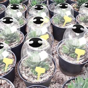 Couvertures de plantes Dôme d'hiver Couvertures en tissu pour plantes <span class=keywords><strong>Protection</strong></span> contre le gel Serre réutilisable en plastique Plantes d'extérieur d'animaux - Product Image 3