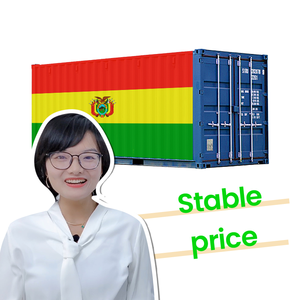 FBA <span class=keywords><strong>Cargo</strong></span> offre un service d'agent bolivien professionnel DDP Sea LCL + Express Logistics Freight Forwarding <span class=keywords><strong>Air</strong></span> + Express Product - Product Image 3