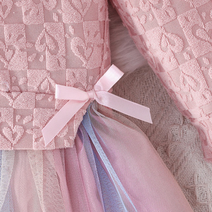 Vestido de Fiesta para Niña Otoño Invierno, Ropa Infantil con Lindo Estampado Floral, Falda de Malla con Diseño de Flores de Cerezo, Diseño Moderno - Product Image 4