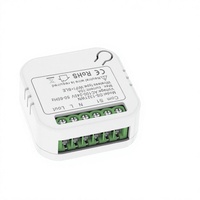 Interrupteur intelligent MINI avec 2 prises AC 10A 240V compatible WiFi, compatible avec Smart Life et les applications, blanc