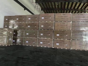 Tấm pin năng lượng mặt trời silicon đơn tinh thể 700W của Mỹ, mô-đun PV hai mặt, công suất tối đa 550W, đóng gói trên pallet, hiệu suất cao - Product Image 5