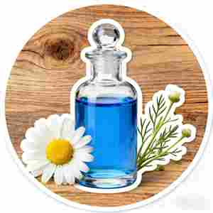 Helianthus น้ำมันเมล็ดพืชน้ำมันเกรดเครื่องสำอางธรรมชาติสนับสนุนอุปสรรคผิวซ่อมแซมป้องกันสารต้านอนุมูลอิสระสำหรับความละเอียดอ่อน - Product Image 1