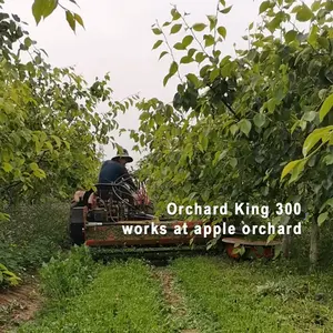 Orchard King 300B verger pommier oranger évitant tondeuse pour tracteur monté