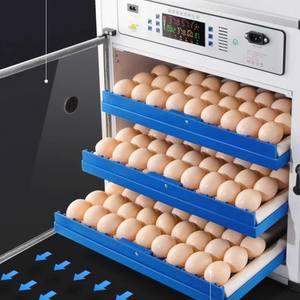 Incubadora de huevos de gallina con bandeja tipo rodillo 98% V en venta, precio de fábrica, buena calidad, tasa de eclosión, 136, 220V, Venta caliente, a precio de fábrica, - Product Image 4