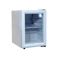 Mini-congélateur commercial Vanace de 21 litres (-18 à -21 degrés) avec compresseur pour crème glacée – Fournisseur chinois