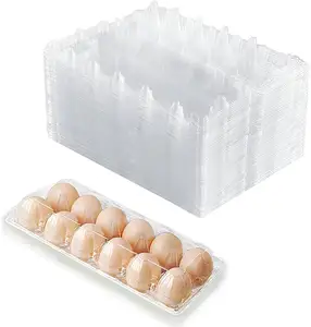 Clear Plastic egg carton Holds Up to 12 Eggs