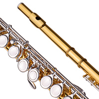 Professional C Key Flutes Closed 16 Hole Cupronickel Gold-plated Tube Silver-plated Keys Woodwind Instrument Flute for Beginner
