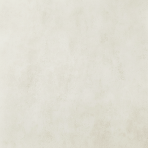 แผ่นผนังแผ่นป้องกันเชื้อราแผ่นปิดผนัง - Product Image 1