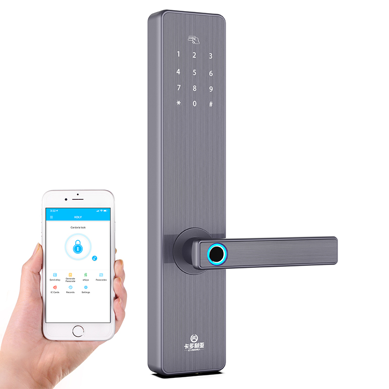 Cardoria Wi Fi Keyless App цифровой замок двери Bluetooths пароль Pin код электронный смарт замок