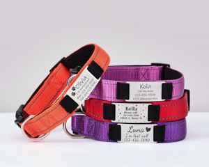 Ensemble de laisse réglable pour chien, collier silencieux personnalisé pour chat avec étiquette d'identification métallique gravée détachable en nylon réfléchissant sur mesure - Product Image 2