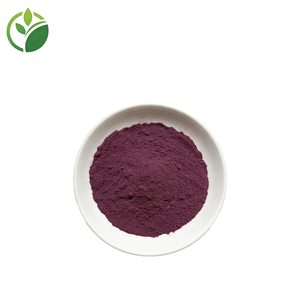 Оптовая продажа натурального экстракта черники в порошке, 25% антоцианидинов, сублимированный порошок черники, порошок из сока черники - Product Image 3