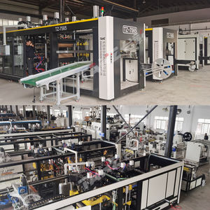 Petite <span class=keywords><strong>machine</strong></span> de thermoformage semi-automatique pour la fabrication d'échantillons de barquettes alimentaires et de blisters - Product Image 5