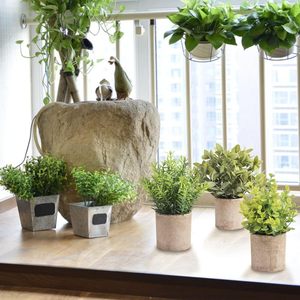 <span class=keywords><strong>Mini</strong></span> <span class=keywords><strong>Eucalyptus</strong></span> Artificiel <span class=keywords><strong>en</strong></span> <span class=keywords><strong>Pot</strong></span> Lot de 3 Plantes Vertes Artificielles <span class=keywords><strong>en</strong></span> Plastique avec <span class=keywords><strong>Pot</strong></span> pour la Maison - Product Image 6