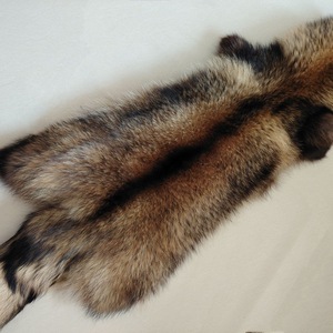 Piel de Mapache de Primera Calidad para Invierno - Piel Natural de Mapache de Alta Densidad para Abrigos de Lujo - Product Image 1