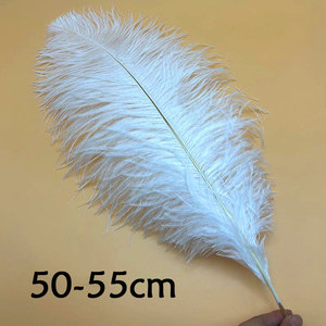 <span class=keywords><strong>Piume</strong></span> di struzzo sfuse in più misure, rosa acceso/verde lime/rosso <span class=keywords><strong>fucsia</strong></span>, per feste di Carnevale e accessori fai da te per capelli - Product Image 4
