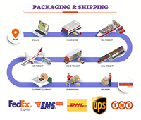 Mejor Servicio DDP, Agente de Envío Marítimo y Aéreo, DHL, UPS Express, de China a EE. UU., Canadá, Reino Unido, Francia, España, México, Transitario Logístico
