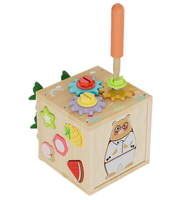 Happy Jack jouet éducatif jouets de tri de forme en bois avec jeu de récolte de carottes