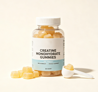 Complément Sportif Personnalisé en Usine : Bonbons Gélifiés à la Créatine Monohydrate pour Pré-Entraînement