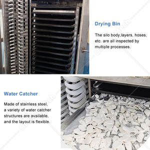 ORME Industrial 50kg 200kg <span class=keywords><strong>Machine</strong></span> de lyophilisation par <span class=keywords><strong>condensation</strong></span> pour fleurs et café, Équipement de lyophilisation, Prix - Product Image 5