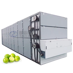 Equipo de secado de cinta de malla continua OEM para kumquat verde pequeño, secadora de kumquat verde pequeño para procesamiento de frutas de gran variedad - Product Image 1