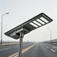Lumière solaire LED pour parking avec contrôle par radar et contrôle horaire (en option) – Garantie 3 ans