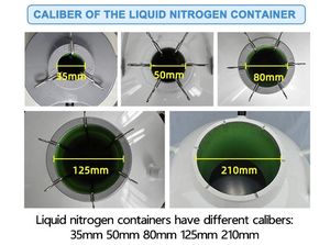 Cylindre de gaz d'azote <span class=keywords><strong>liquide</strong></span> <span class=keywords><strong>Prix</strong></span> du <span class=keywords><strong>liquide</strong></span> à vendre Insémination artificielle YDS-10-50 - Product Image 2