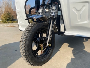 DAHE 2025 Electric Tricycles 1200W Cargo Truck Express Delivery Electric <strong>Camper</strong> Ice Cream Tuk Tuk Utility Vehicle for Adults - Product Image 5