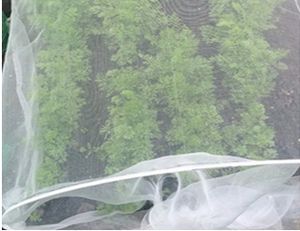 <span class=keywords><strong>Filet</strong></span> anti-insectes en vente chaude, 45 mailles, traité anti-UV, <span class=keywords><strong>filet</strong></span> anti-insectes en HDPE, facile à assembler pour les tunnels de serres - Product Image 4