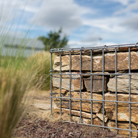 Boîte Gabion Guangzhou 50x50x100 Panier Gabion Paniers Gabion pour Aménagement Paysager