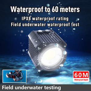 Projecteur sous-marin professionnel SL-19, petit, étanche à 60 m/195 pieds, 2000 lm, lumière vidéo LED pour caméra, <span class=keywords><strong>lampe</strong></span> <span class=keywords><strong>de</strong></span> plongée - Product Image 2